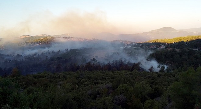 Manavgat'ta orman yangını