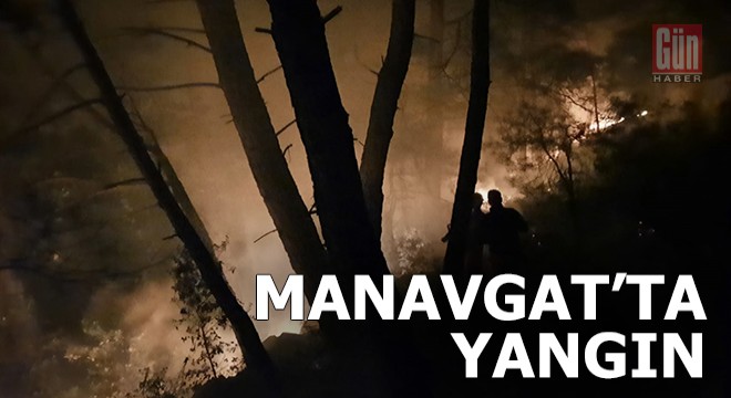 Manavgat'ta orman yangını