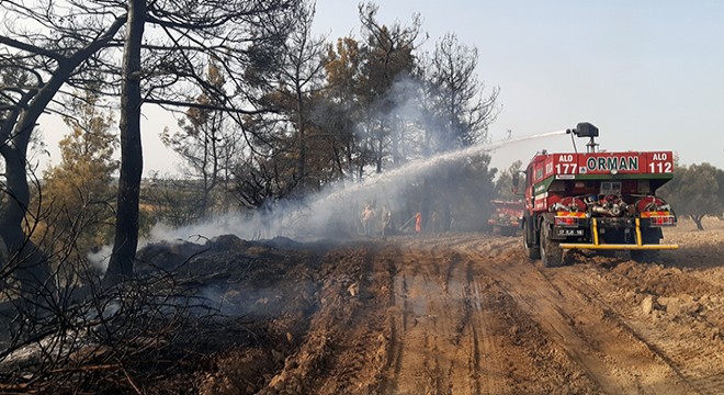 Manavgat'ta orman yangını