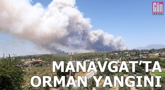 Manavgat'ta 4 ayrı noktada orman yangını