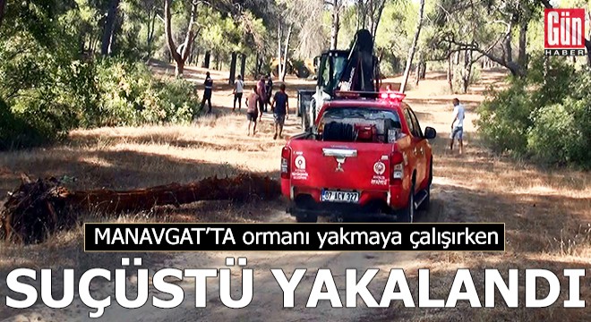 Manavgat'ta ormanı yakmaya çalışırken yakalandı