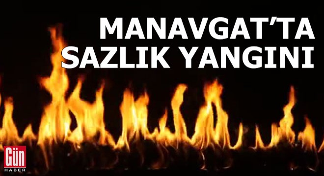 Manavgat'ta sazlık yangını