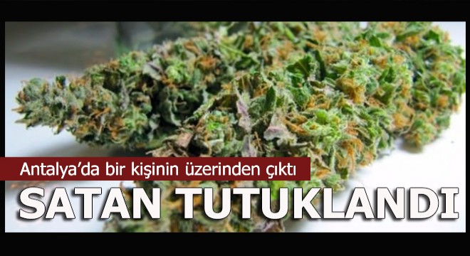 Manavgat'ta uyuşturucu operasyonu