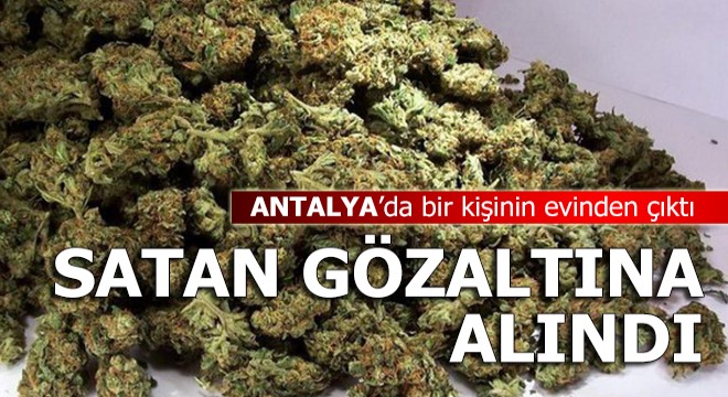 Manavgat'ta uyuşturucu operasyonu