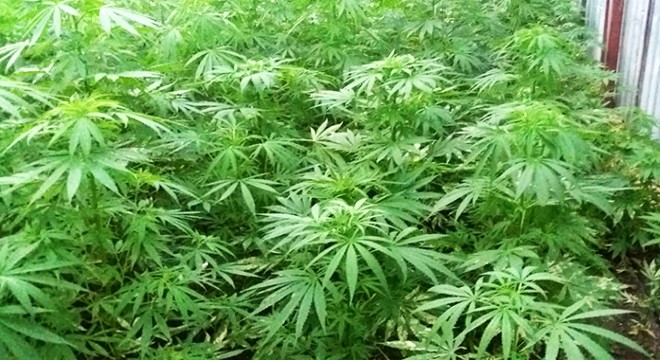 Manavgat'ta uyuşturucu operasyonu 3 tutuklama