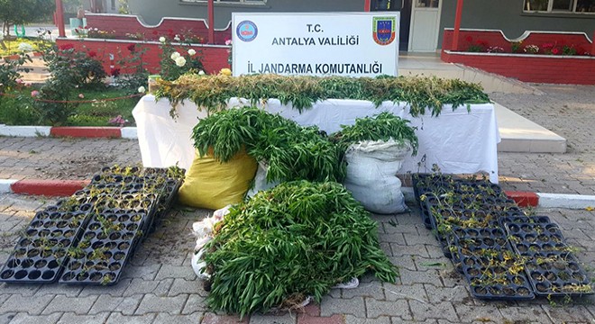Manavgat'ta uyuşturucu operasyonu