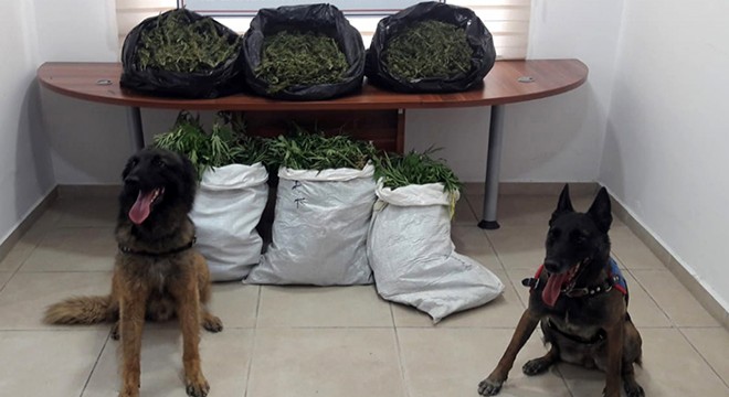 Manavgat'ta uyuşturucu operasyonu