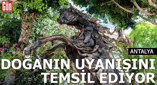 Manavgat'ta yanan ağaç gövdelerinden at figürü