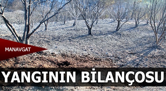 Manavgat'ta yangının bilançosu gün ağarınca ortaya çıktı