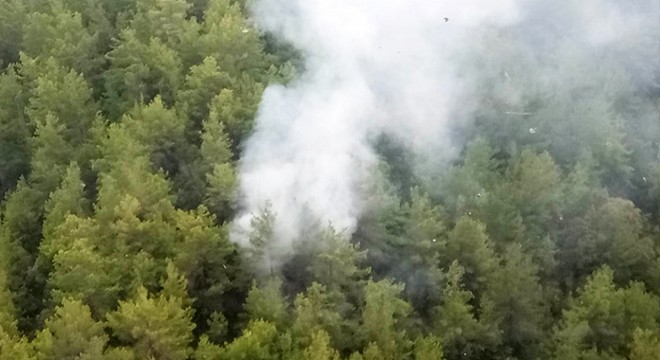 Manavgat'ta yıldırım düşen ormanda yangın