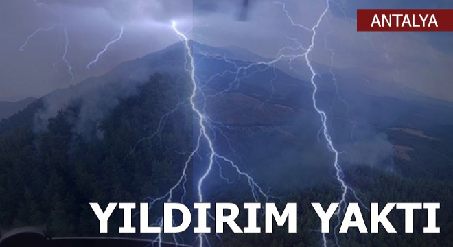 Manavgat'ta yıldırım düşen ormanda yangın çıktı