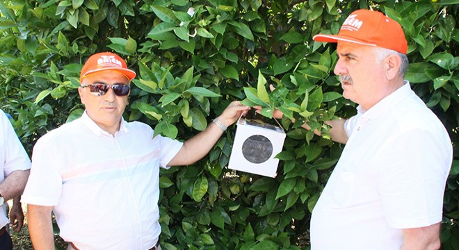 Manavgat'ta zararlılarla biyolojik mücadele