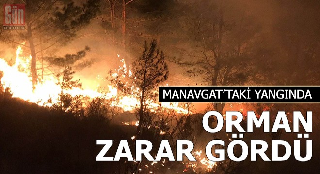 Manavgat'taki yangında 1 hektarlık orman zarar gördü