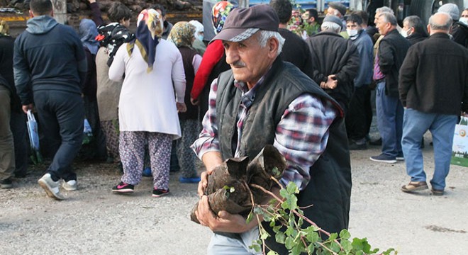 Manavgat Orman İşletme 20 binin üzerinde fidan dağıttı