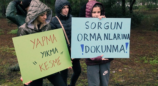 Manavgat ta ağaç kesme protestosu