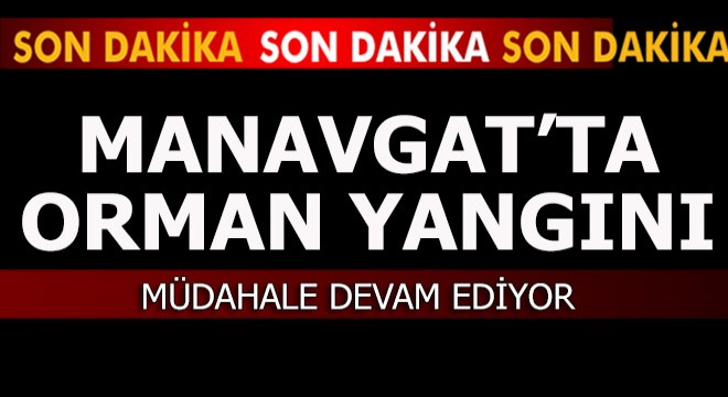 Manavgat ta orman yangını