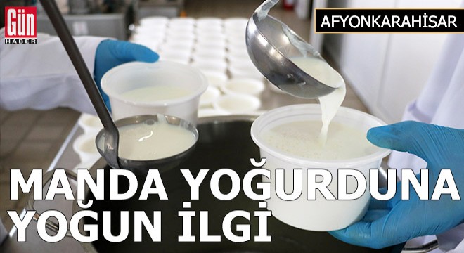 Manda yoğurduna yoğun ilgi