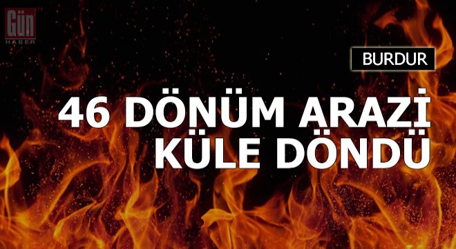 Mangal ateşi, 46 dönüm araziyi kül etti
