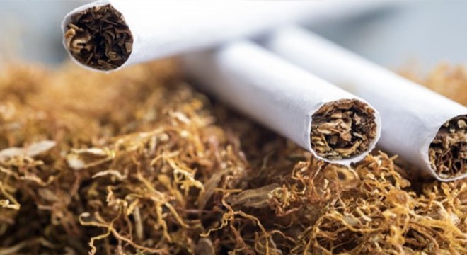 Manisa'da 1 ton 315 kilogram kaçak tütün ele geçirildi