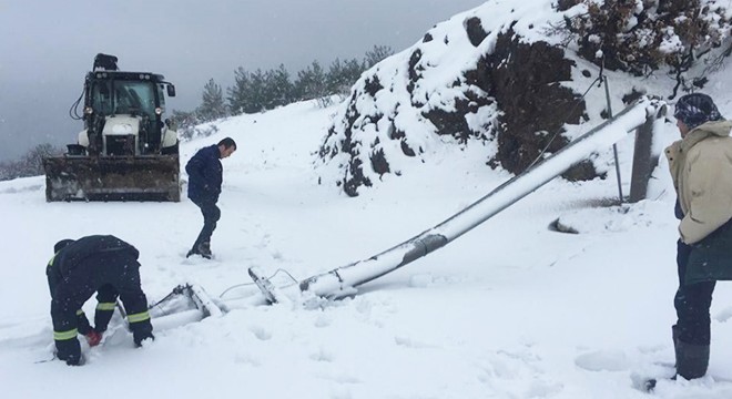 Manisa'da, fırtınada elektrik direkleri devrildi