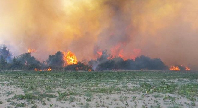 Manisa da 85 hektar ormanın zarar gördüğü yangına 2 gözaltı