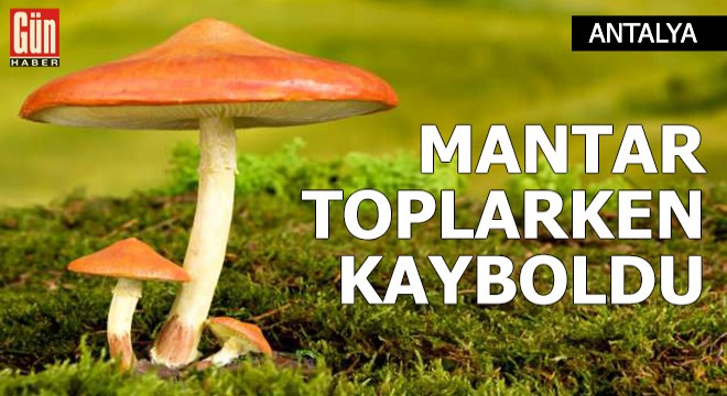 Mantar toplarken kayboldu