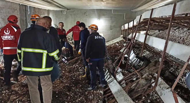 Mantar üretim tesisinde çelik raflar devrildi: 5 yaralı