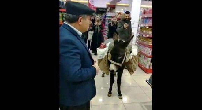 Markette eşekle alışveriş yapan müdür çıktı