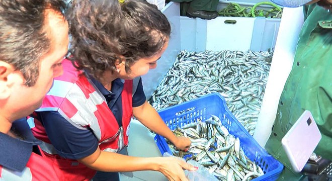 Marmara Denizi'nde avlanan balıkçılar denetlendi