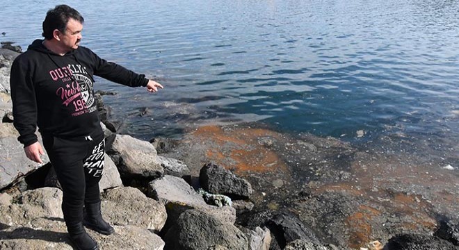 Marmara Denizi'ndeki deniz salyası balıkçıları vurdu