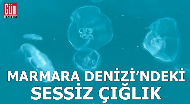 Marmara Denizi'ndeki sessiz çığlık