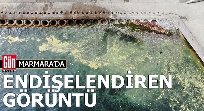 Marmara'da endişelendiren görüntü