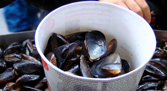 Marmara'nın her köşesinde midye avcıları