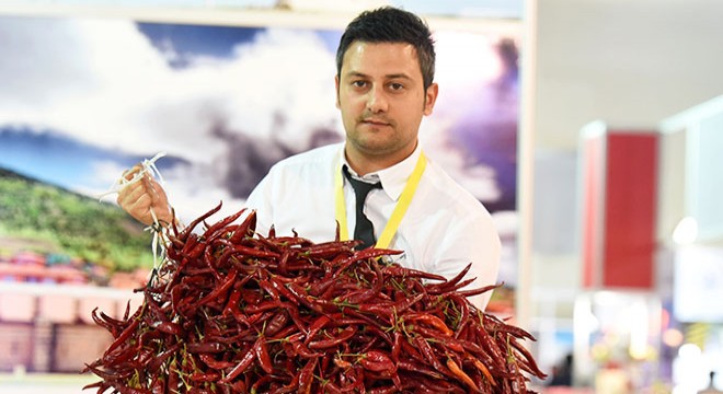 Marmara ve Trakya YÖREX'te