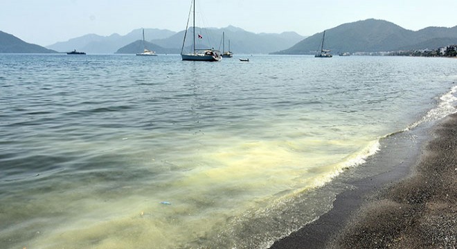 Marmaris'in 11 kilometrelik plajı sarıya büründü