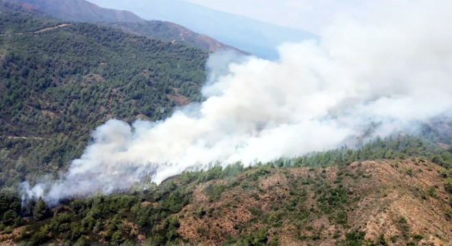 Marmaris'te orman yangın
