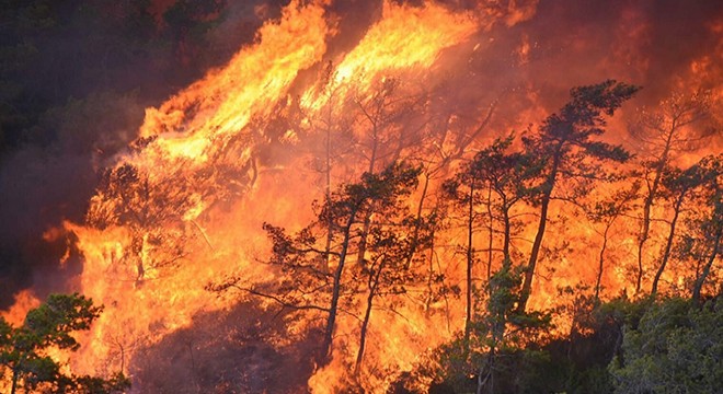 Marmaris yangınında alevlerin ilerlemesi, karşı ateşle önlenmiş