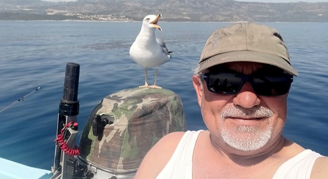 Martı 'Osman', balık avında tekneden ayrılmıyor