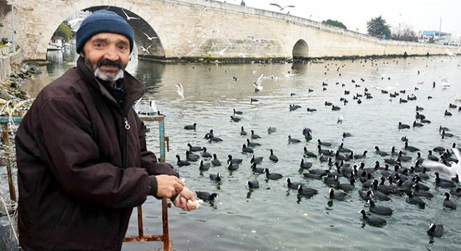 Martı ve karabatakların ekmek kapma çabası