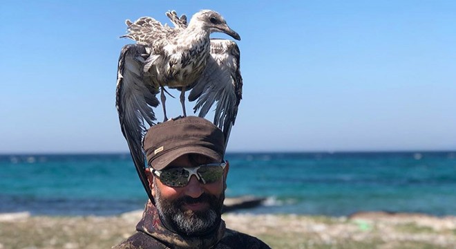 Martıya özgürlüğünü geri verdiler