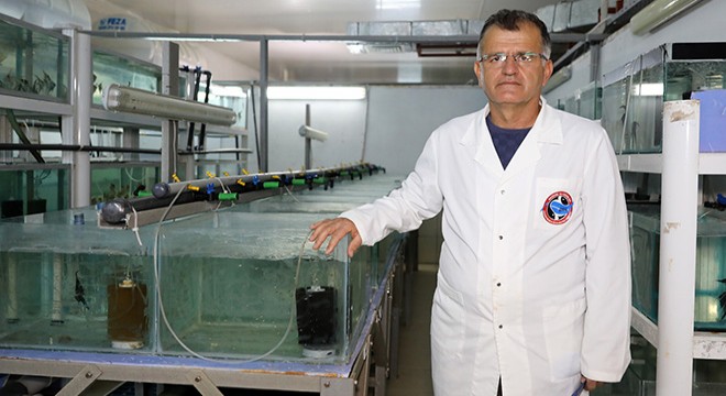 Masaj ve SPA salonlarının 'doktor balık' ilgisi