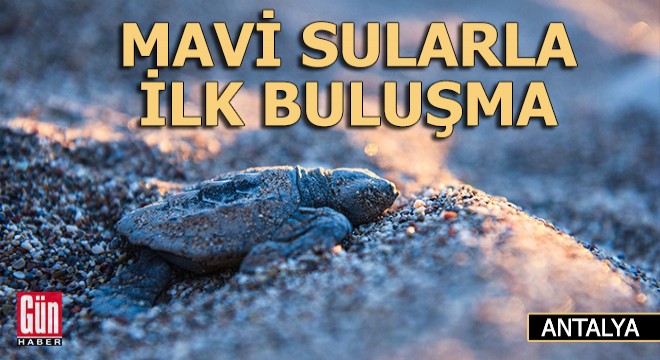 Mavi sularla ilk buluşma