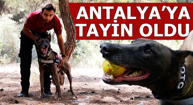 Melo, Antalya'ya tayin oldu