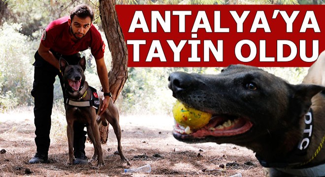 Melo, Antalya ya tayin oldu