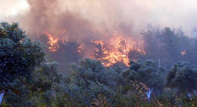 Menderes teki orman yangını davasında bilirkişi raporu istendi