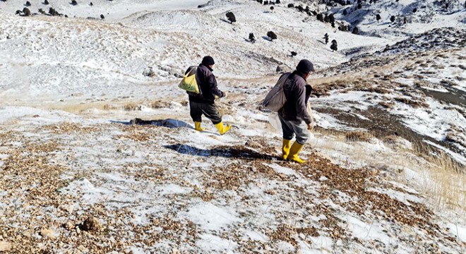 Meralardaki ekimler, gübre ile zenginleştirildi