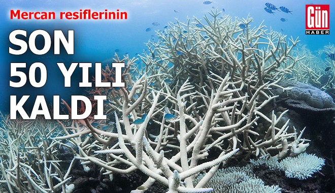 Mercan resiflerinin 50 yılı kaldı