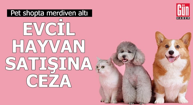 Merdiven altı evcil hayvan satışına ceza