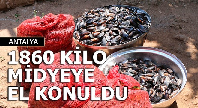 Merdiven altı üretilen 1860 kg midyeye el konuldu