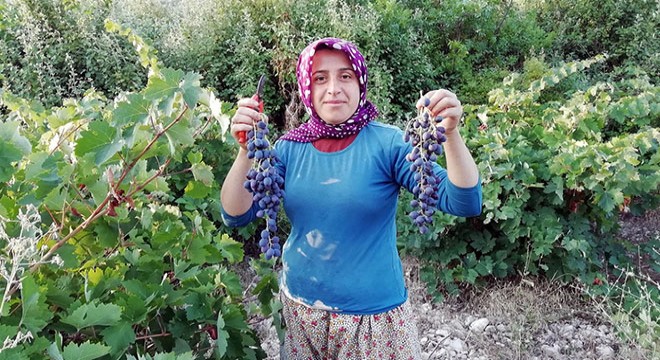Mermer ocağı açılmaması için imza topladılar